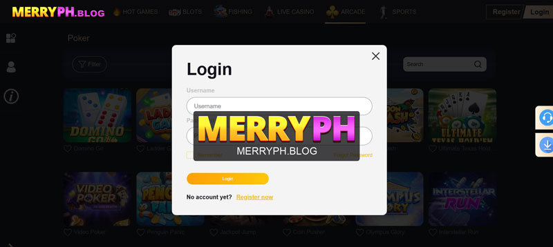 A Glimpse at the MerryPH Community